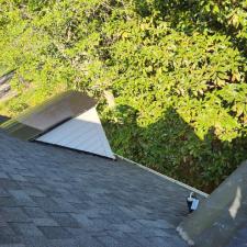 Roof painting